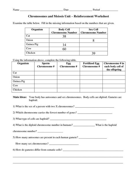 Reinforcement Science Process Worksheet Answers