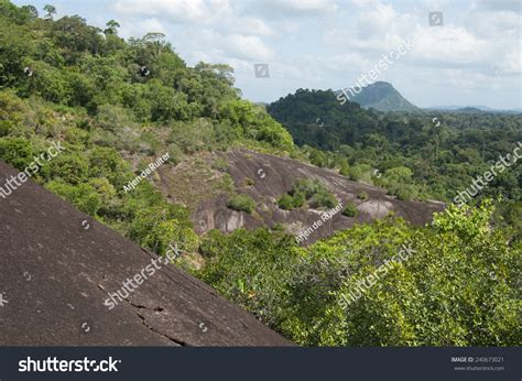 Central Suriname Nature Reserve - Awe-inspiring Places