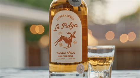 Alma Del Jaguar Tequila Launches Reposado Crafted To Support Jaguar Conservation - Spirited