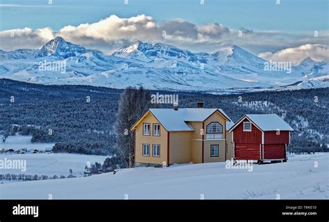 Norway. Winter in Folldal and Rondane Stock Photo - Alamy