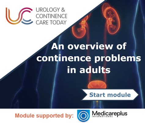 An Overview Of Continence Problems In Adults Urology And Continence