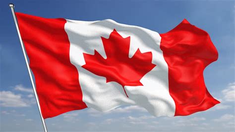 Canadian Flag Waving In A Windy Day Red And White The Colors Of The