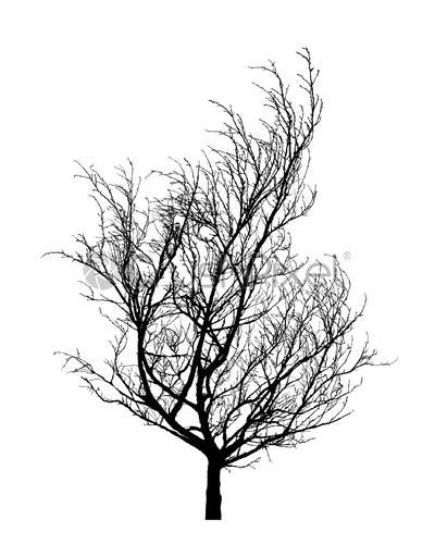 Set Of Black Naked Trees Silhouette Set Hand Drawn Isolated Stock Vector Crushpixel