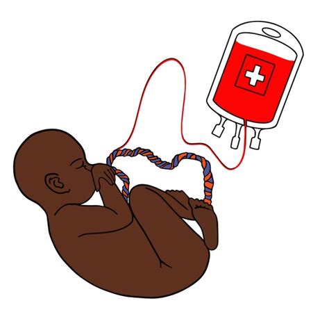 Cord Blood Babe Shutterstock