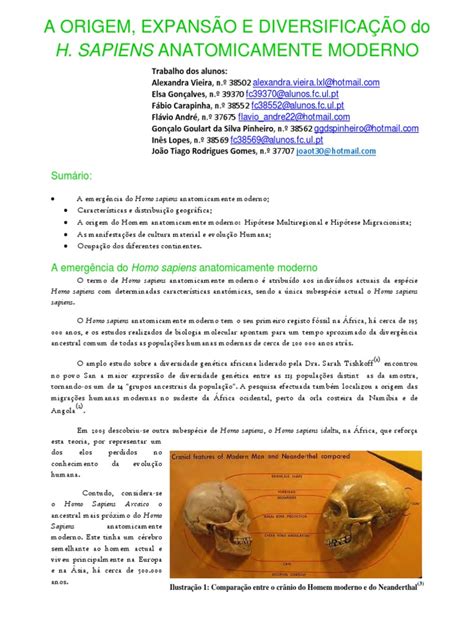 T15 Homem Anatomicamente Moderno | PDF | Homo | Neanderthal