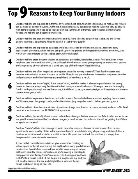 why is rabbit shaking indoors 4