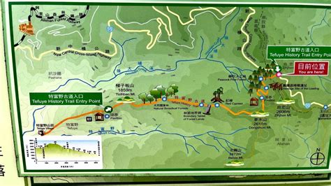 阿里山最美山線！走進特富野古道 ，深入鄒族秘境「光影灑落柳杉林」堪稱五星級景緻 - 銀髮一起玩