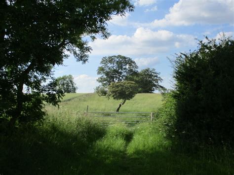 Gate And Grass Field Near Barnhill Creek Jonathan Thacker Cc By Sa