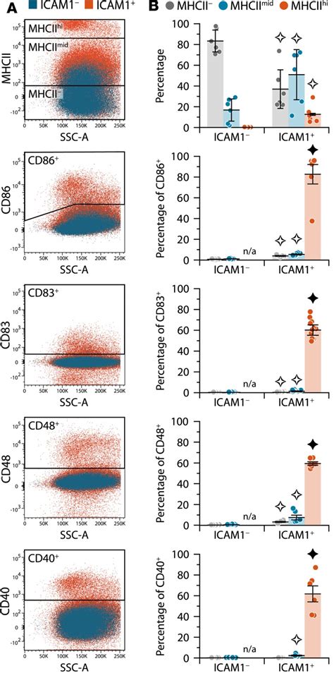 Icam Neutrophils Promote Chronic Inflammation Via Asprv In B Cell