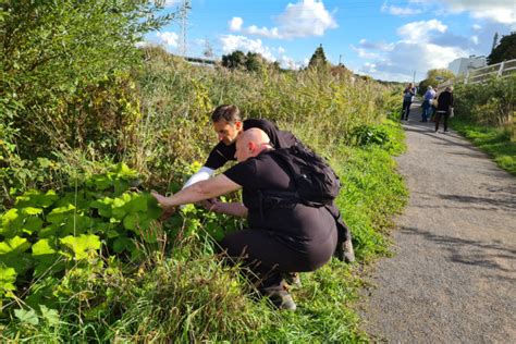 Wilder 2024 Together For Nature Somerset Wildlife Trust