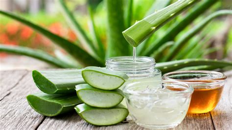 What Are The Benefits Of Drinking Aloe Vera Juice