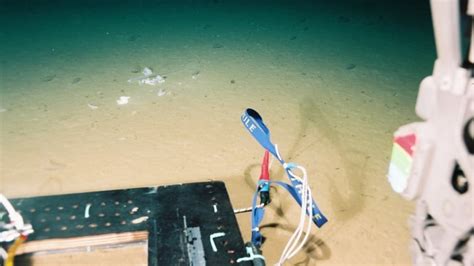 Plastics Other Garbage Found In Ocean Trench Nearly 11 Kilometres