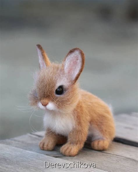 Нет описания фото. | Felt animals, Animals, Felt art