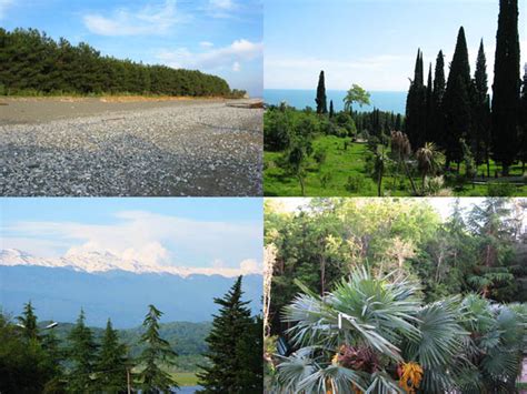 Впечатления об Абхазии: ru_travel — LiveJournal