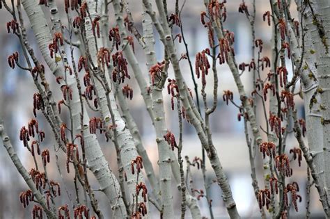 Наконец-то весна!!!