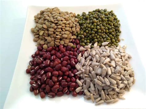 Důležité minerály pro lidské zdraví - Jimeto.cz