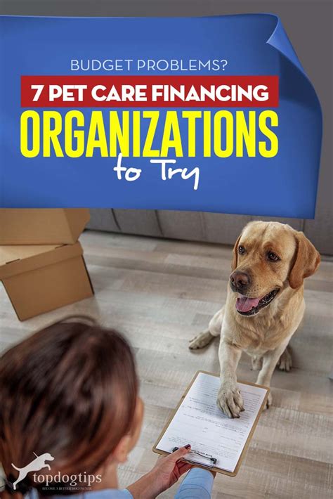 pin  dog costs   budget  pets