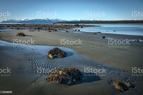 Bartlett Cove Beach At Low Tide Stock Photo Download Image Now