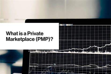 What Is A Private Marketplace Pmp Audiencex