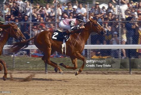 Kentucky Derby Steve Cauthen In Action Winning Race Aboard Affirmed