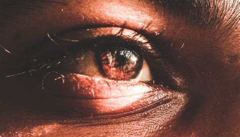 Myths Facts And Alternatives For Sex Trafficking Imagery The Canadian Centre To End Human