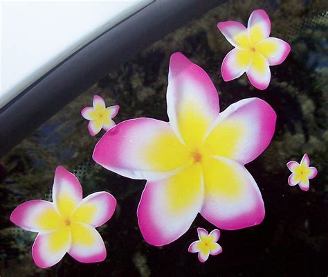 20 Tri Colour Frangipani Car Stickers Plumeria Flowers Ebay