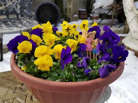 Mon Soleil Market Garden - Do you know?? Danone/Horizon have decided to