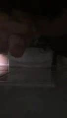 Wixen Und Abspritzen In Zeitlupe Gay Man Porn XHamster