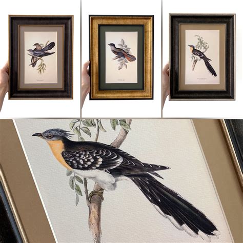 Рамки со стеклом и постеры Птички в интернет-магазине Ярмарка Мастеров ...