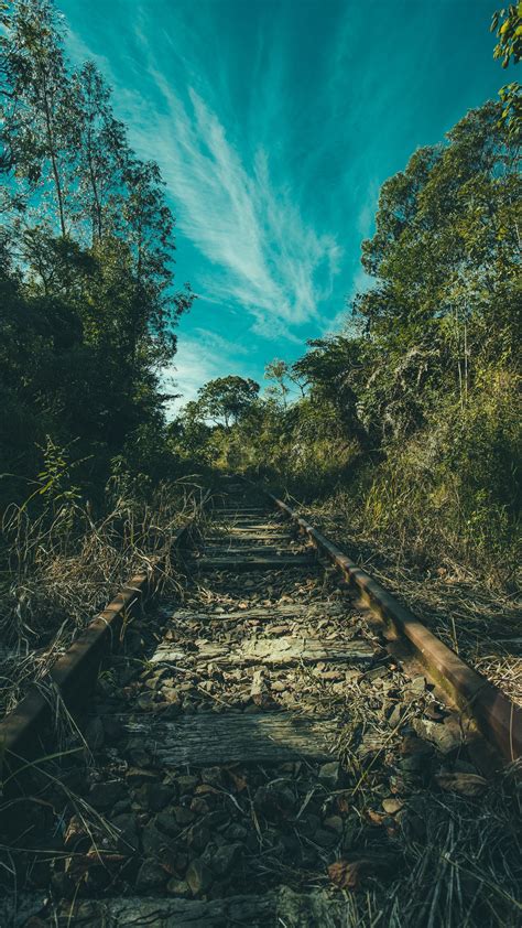 Nature Wallpaper Android 4k 2160x3840 Wallpaper