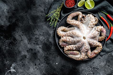 buy fresh shellfish  premium quality shellfish