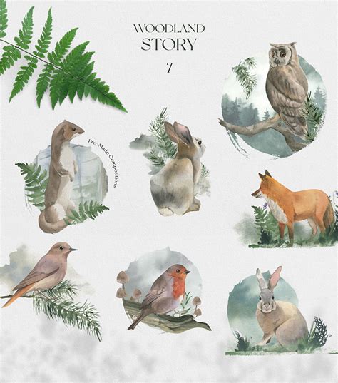 Woodland Story Watercolor Collection By BolshoyMaArt | TheHungryJPEG