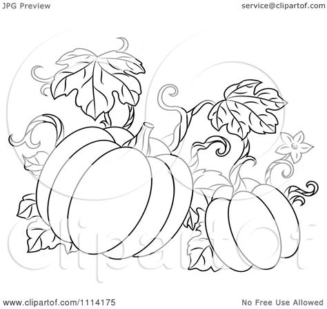 Pumpkin Vine Coloring Page at GetColorings.com | Free printable colorings pages to print and color