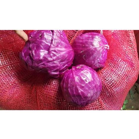 A Grade Fresh Red Cabbage Pesticide Free For Raw Products Packaging Size 20 25 Kg At Rs 45