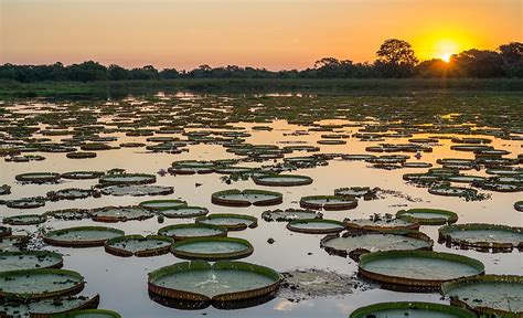 Where Is The Pantanal Natural Region Located