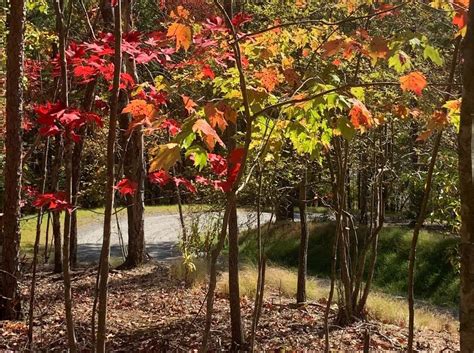 Blue Ridge Ga Real Estate Blue Ridge Homes For Sale ®