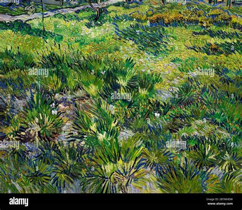 Long Grass With Butterflies Hi Res Stock Photography And Images Alamy