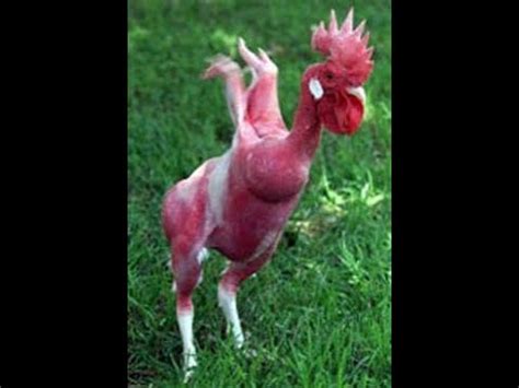 NAKED CHICKEN DANCE ONLY IN THE PHILIPPINES YouTube