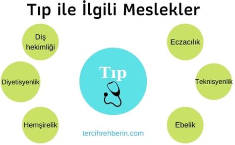 T P Ile Lgili Meslekler Listesi Tercihrehberin