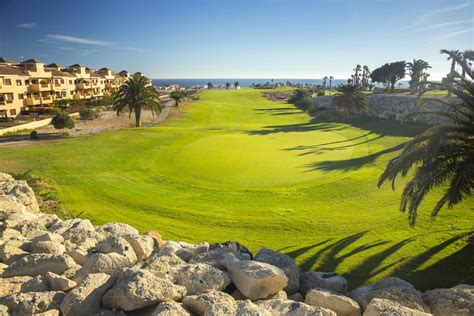 Amarilla – Golf Course – Northstar