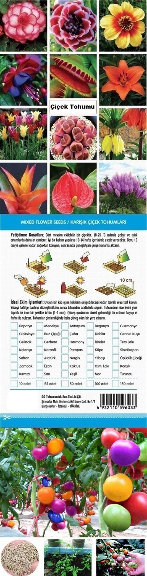 10 Adet Karışık Menekşe Çiçek Tohumu 10 Adet Hediye K Domates Tohumu