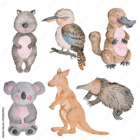 Cute Australian Animals