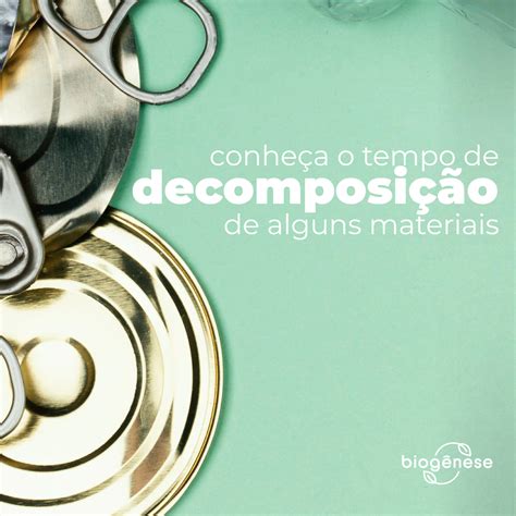 Conheça o tempo de decomposição de alguns materiais | Biogênese Ambiental