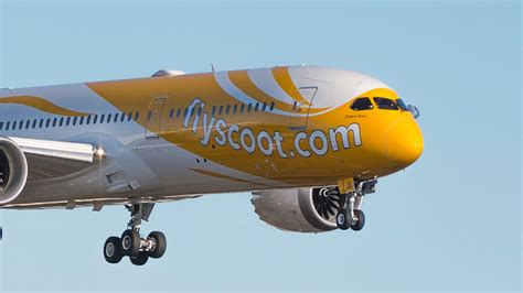 Flight Review Scoot 787 9 ScootPlus Gold Coast To Singapore Repeat