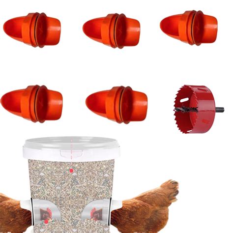chicken feed diy