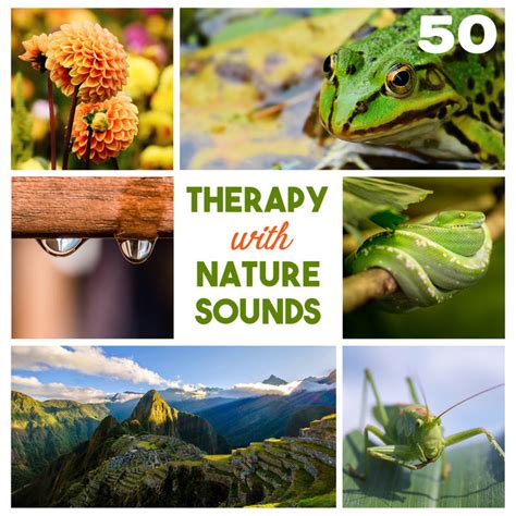 Various Artists 50 Therapy With Nature Sounds Relaxing Instrumental