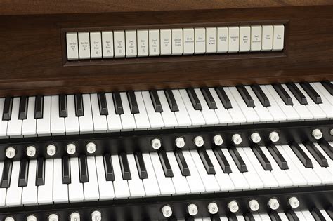 allen organ   week jacksonville florida