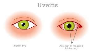 retina specialists  mississippi board certified eye doctors