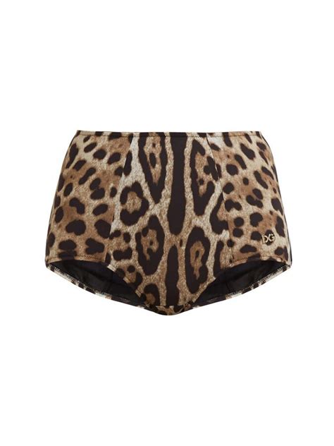 Dolce Gabbana Leopard Print High Rise Bikini Briefs One Color Editorialist