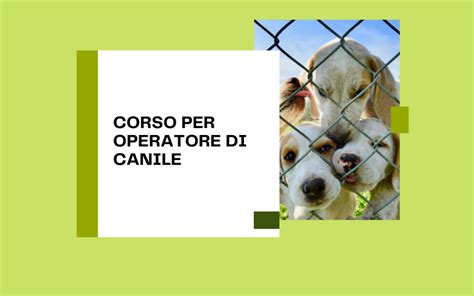 Corso Per Operatore Di Canile Killia Formazione